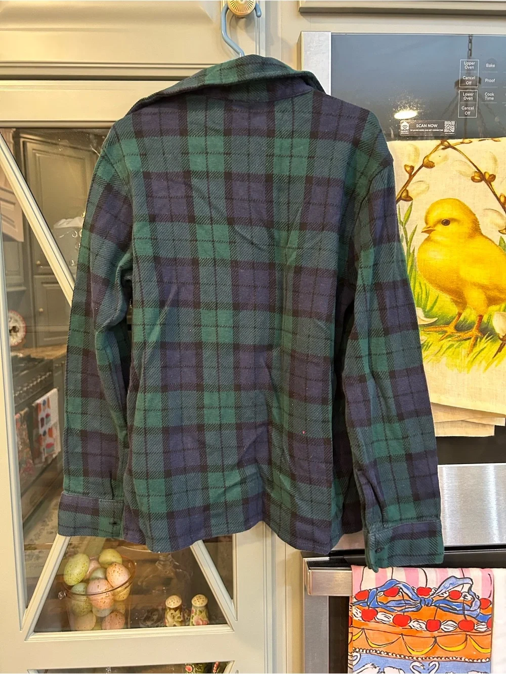GAP Boys Flannel Hooded Button Up Shirts Size 10